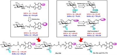 Design and Optimization of Thioglycosyl–naphthalimides as Efficient Inhibitors Against Human O-GlcNAcase